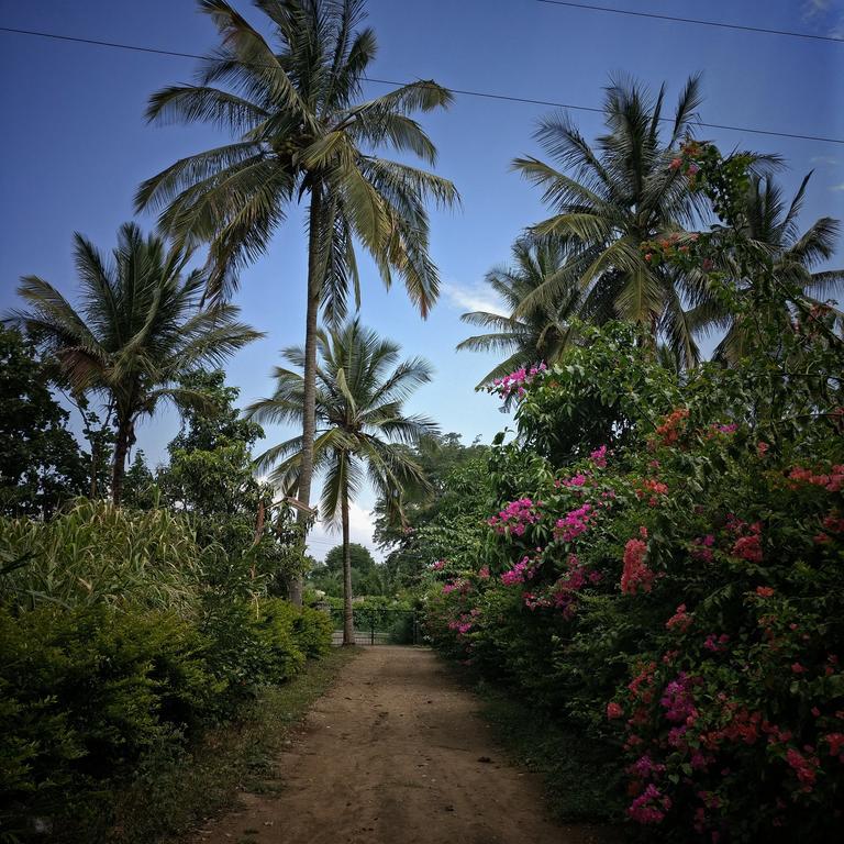 Homestay Acres